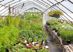 Plant nursery